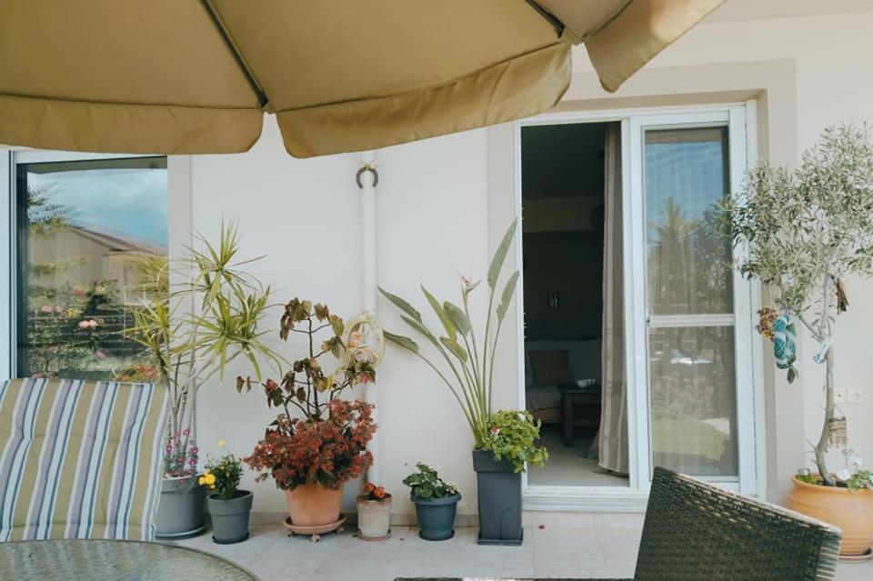 Ferienwohnung Xrysa'S Garden Mesolóngion Exterior foto
